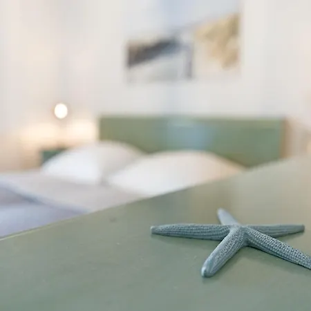 Zaubermuschel Timmendorfer Strand